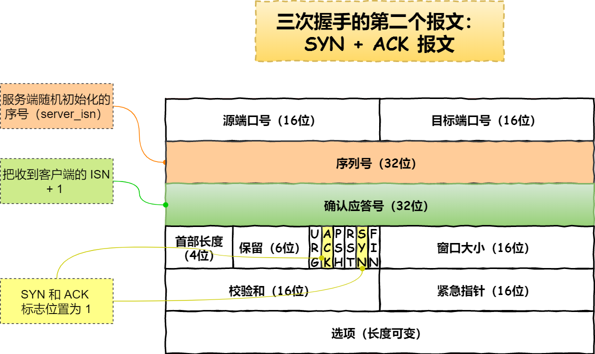 ڶ  SYN + ACK 