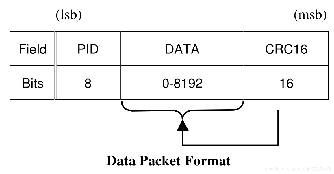 Data Packet Format