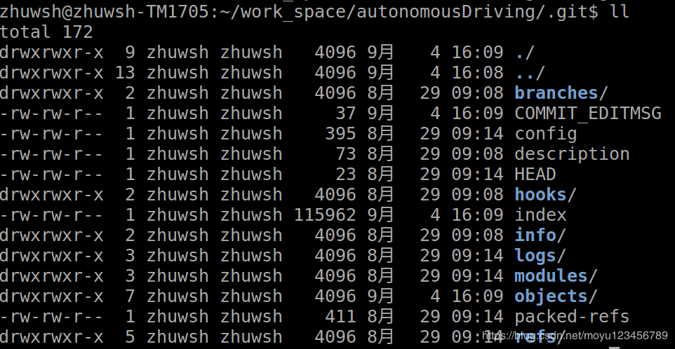 git-submodule-update-iis7